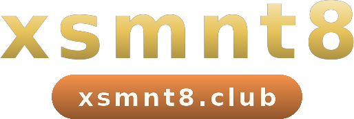 xsmnt8 logo